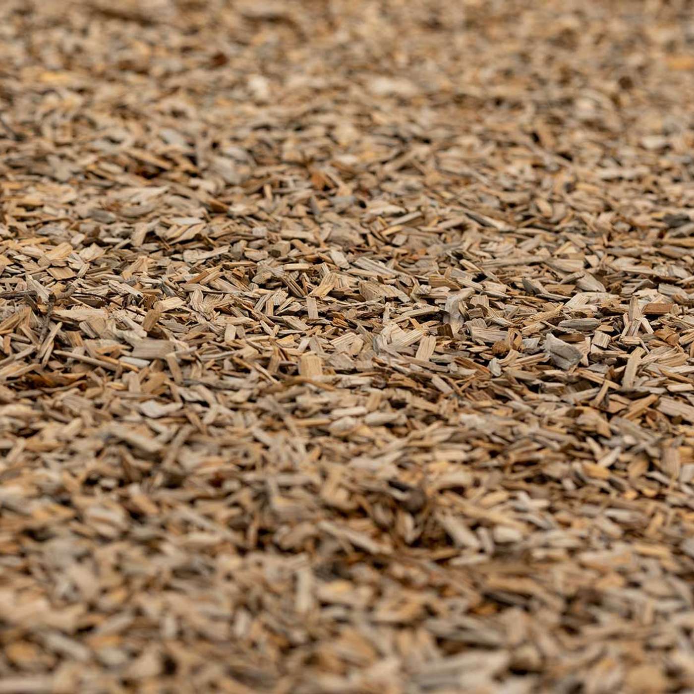 Home LP Tree Service