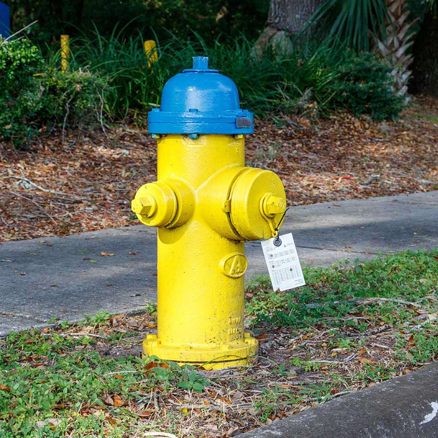 Home LP Tree Service